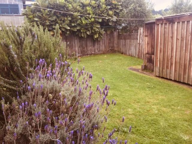 Mollies Place - Waihi Beach Holiday Unit Exteriér fotografie